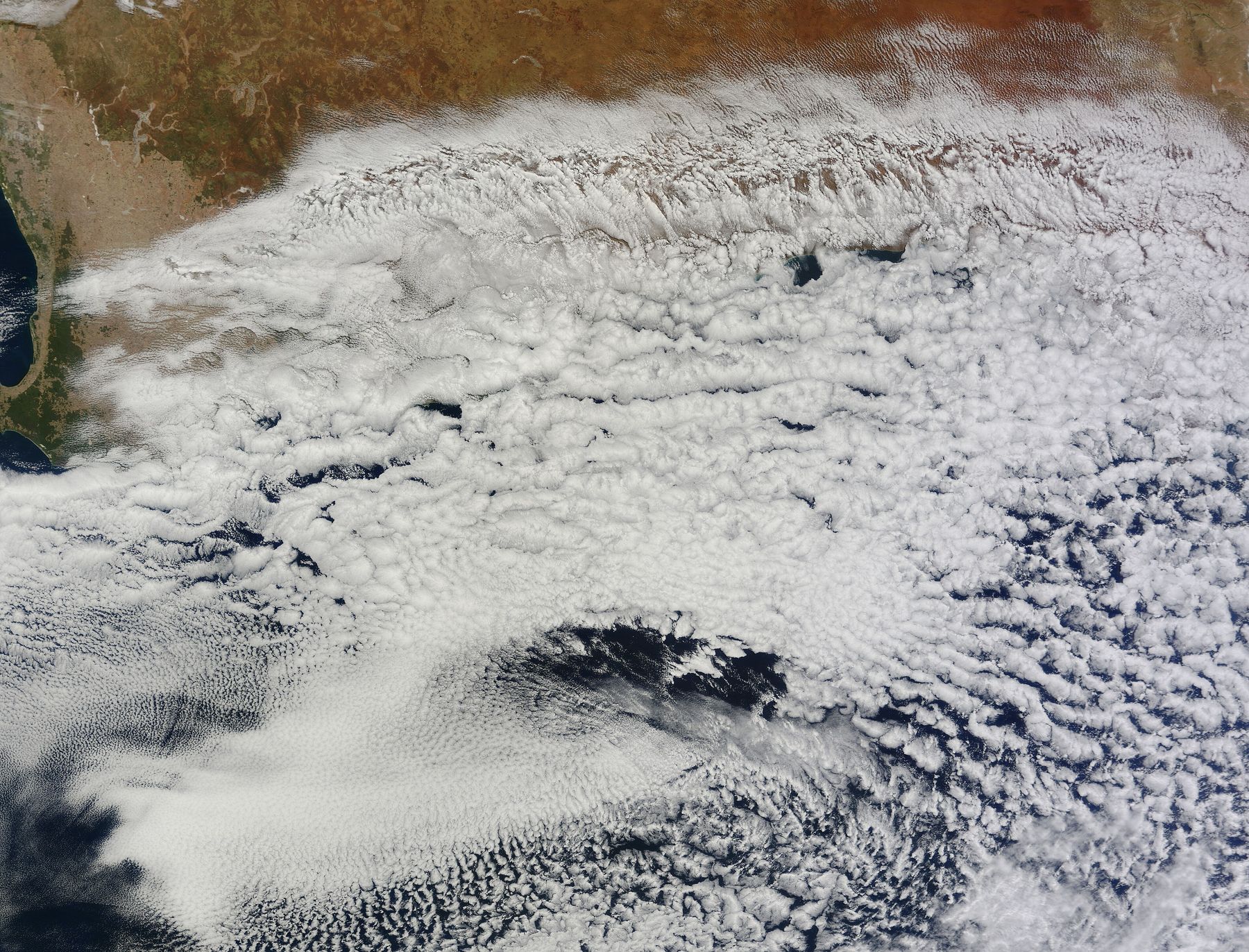 A satellite image: a vast field of white cloud cells covers dark ocean, and the reddish-brown southern coast of Australia curves along the top edge.