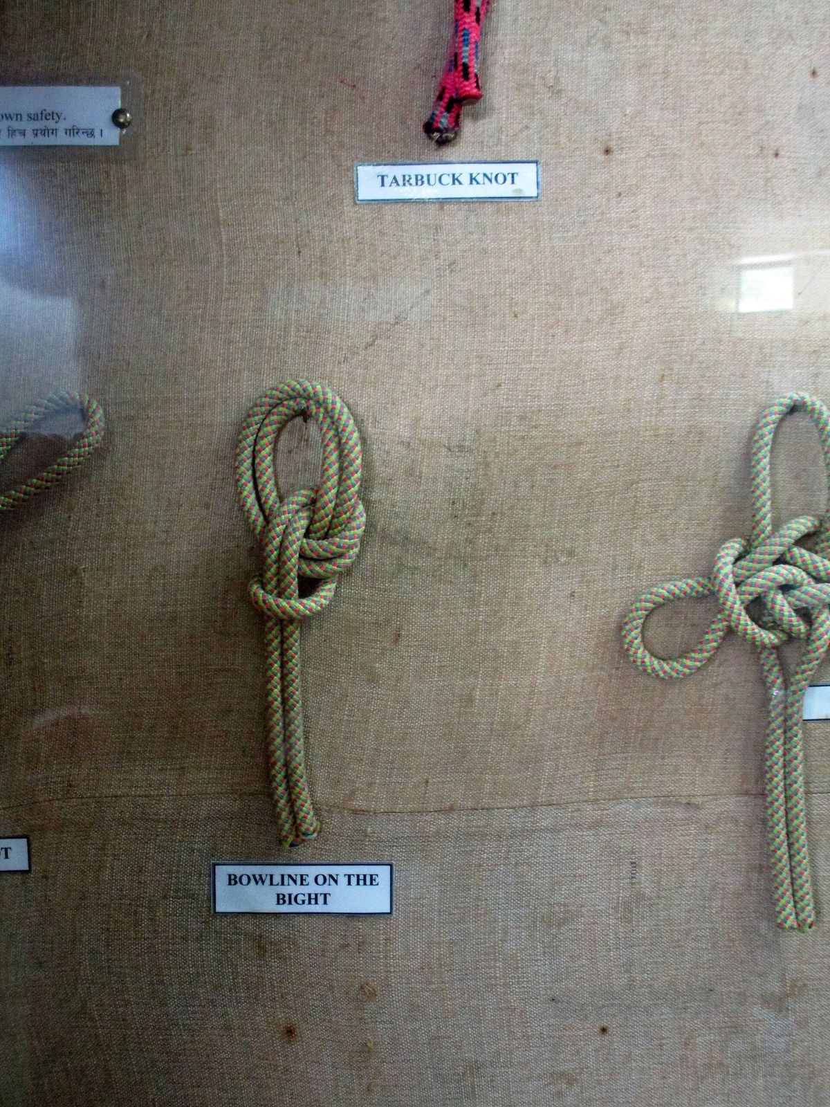 Tan ropes hanging against a burlap-covered board, each tied in a different knot, with small printed labels beneath them.