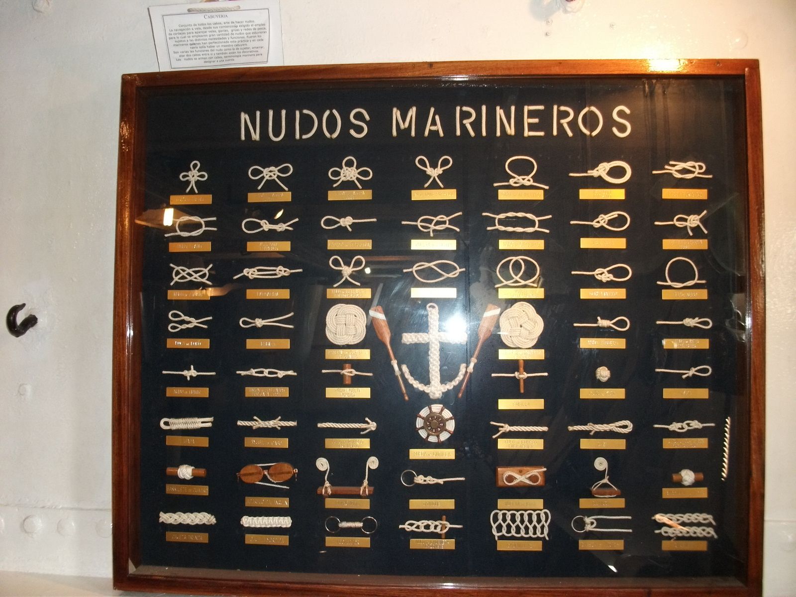 A glass-fronted wooden case titled 'Nudos Marineros' holding rows of white knots on a dark blue ground, each with a small brass label, around a central anchor.