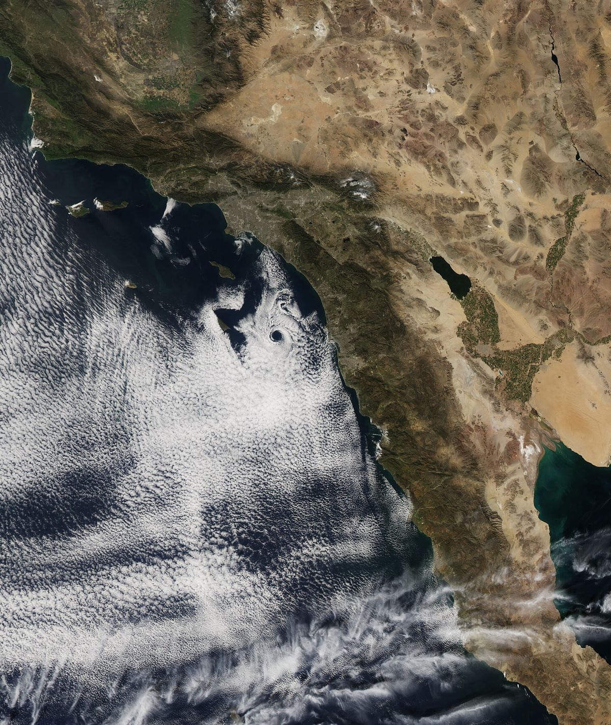 A satellite image of the Southern California and Baja California coast, brown land on the right and a swirl of white cloud over the blue ocean to the left.